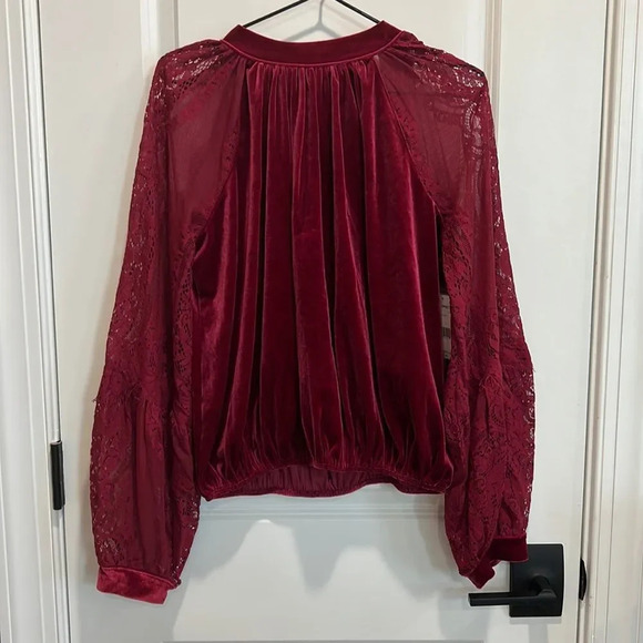 NWT Free People Raspberry Dream Team top, velvet with mesh sleeves & embroidery - Picture 3 of 10